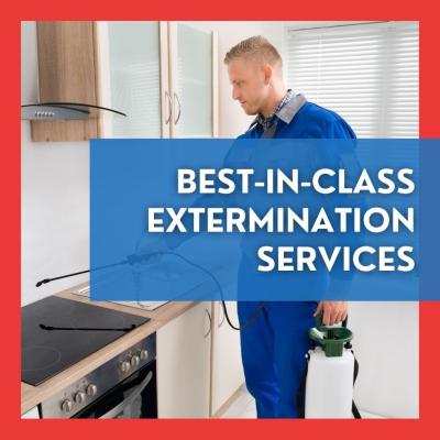 american pest management exterminator