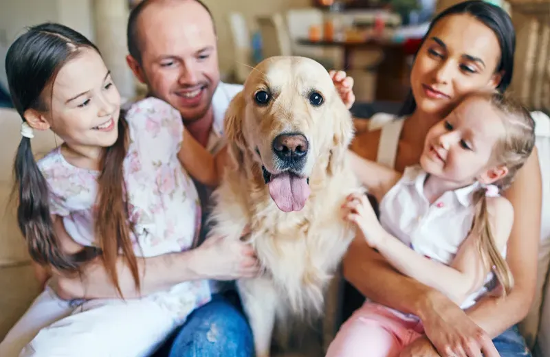flea and tick control, family petting dog