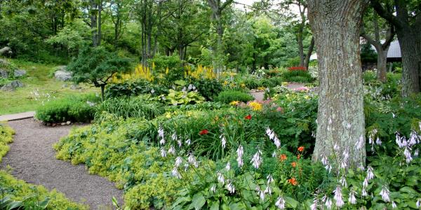 garden